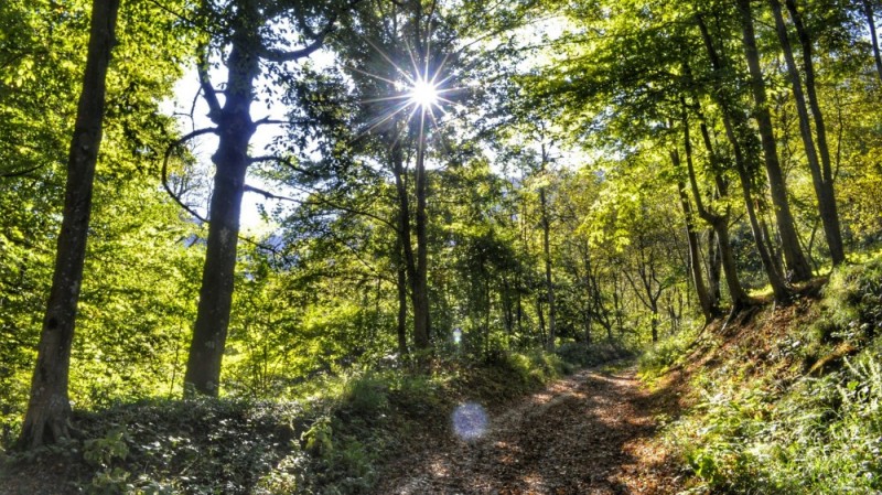 Escursione ai Piani di Cavallaro sul Monte Majo - Laghi Posina